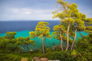 İnanılmaz doğal deniz manzarası arka planı.