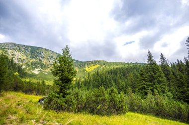 Yüksek dağların doğal manzarası