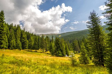 Yüksek dağların doğal manzarası
