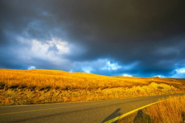 Sonbahar alanı peyzajı - doğal arkaplan