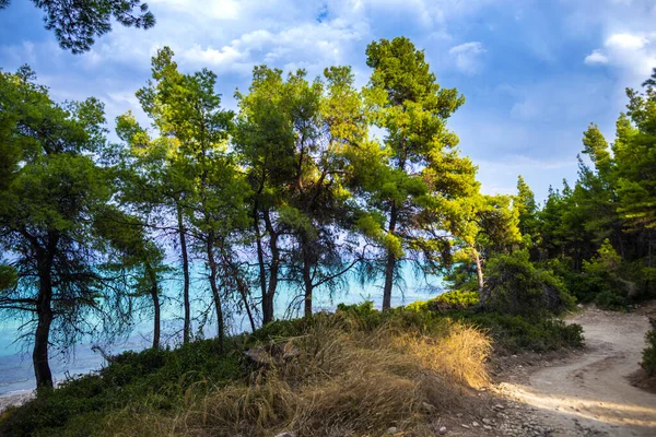 Fundo Incrível Paisagem Marinha Natural — Fotografia de Stock