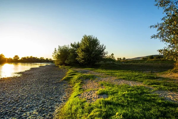 Ormanda Sonbahar Yolu — Stok fotoğraf