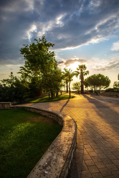 Tropical Landscape Green Trees — Stock Photo, Image