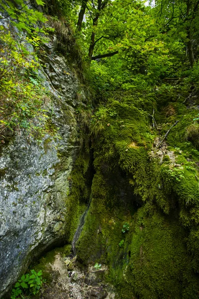 高山的自然景观 — 图库照片