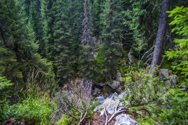 Yüksek dağların doğal manzarası