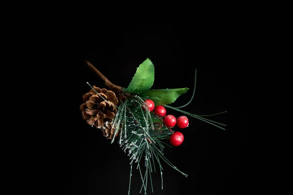Fir Branch Pine Cone Red Berries Black Background Decoration Holiday — Stock Photo, Image