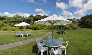 Hawaii adasında huzurlu çim