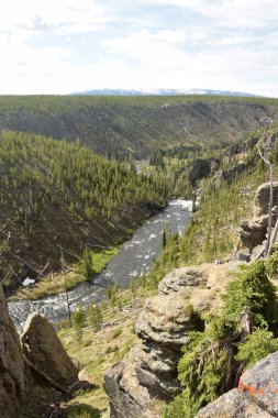 Wyoming'deki dağ nehri, ABD