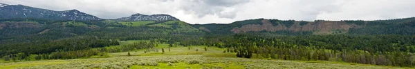 怀俄明州的山景 — 图库照片
