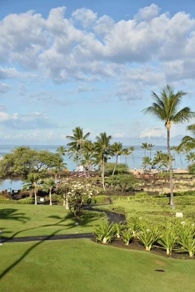 Küstenpark in Hawaii — Stockfoto