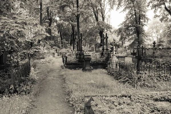 Chemin Travers Cimetière Abandonné Entre Tombes Tombes Saint Pétersbourg — Photo