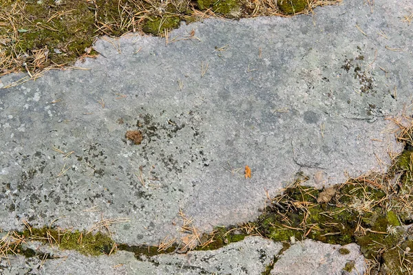 Старий гранітний кам'яний фон з сосновими голкою та темно-сірим мохом — стокове фото