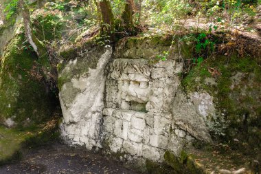 Eski orman hayalet ünlü Parco dei Mostri, ayrıca Sacro Bosco veya Giardini di Bomarzo denir. Canavarlar park. Lazio, İtalya