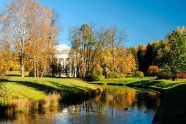 Slavyanka Nehri, turuncu yaprak ve dostluk Tapınağı arkasında ağaçlar, Pavlovsk, St. Petersburg ile Pavlovsk parkta güzel sonbahar güneşli manzara.