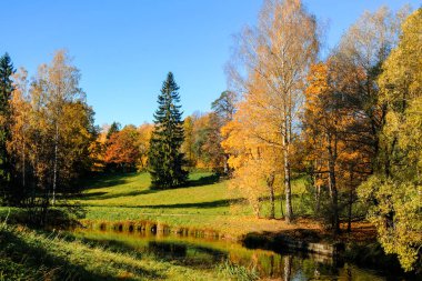 Slavyanka Nehri, kırmızı ve turuncu yaprak, Pavlovsk, St. Petersburg ile güzel sonbahar güneşli Pavlovsk park peyzaj.