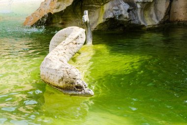 Yunus çeşme, dört Rivers, Navon Meydanı, Roma, İtalya, bir rakam.