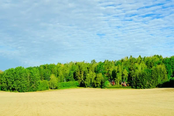 Agricultural fields with farmers house in the forest belt, and grey-blue cloudy sky.