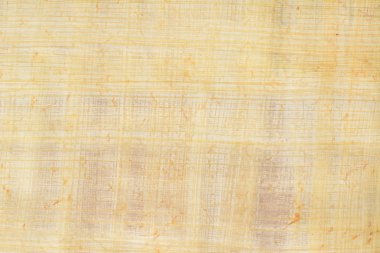 Çok eski payrus arka plan ve doku sayı 13 kağıt. Makroyu kapat.