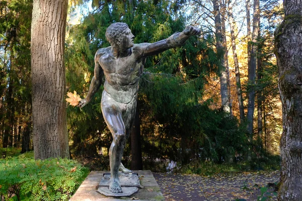 Copy of greek statue Warrior Fighter or Borghese Gladiator with bouquet of autumn leaves in hand, in Pavlovsk park, Saint Petersbourg