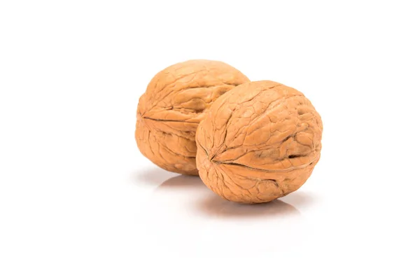 Dos nueces nativas, de cerca macro, aisladas sobre un fondo blanco . —  Fotos de Stock