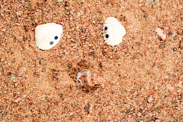 Дві морські оболонки з огидними очима лежать на піску, і двоє з них дивляться один на одного, крупним планом макрос . — стокове фото