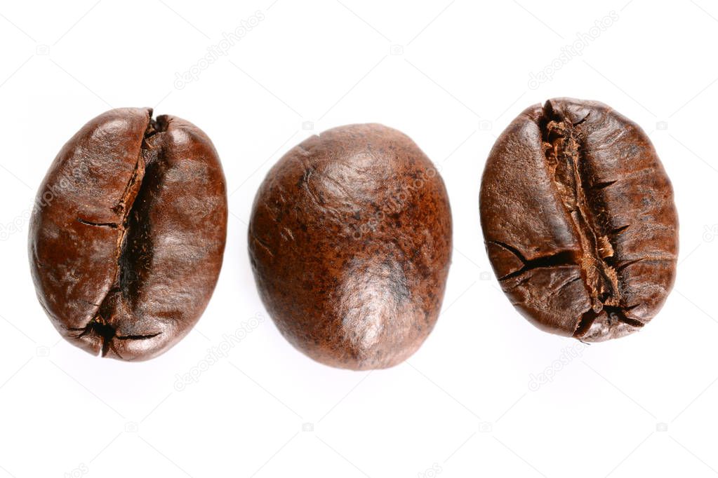 Coffee beans. Three roasted coffee beans maccro view, close up, isolated on white background.