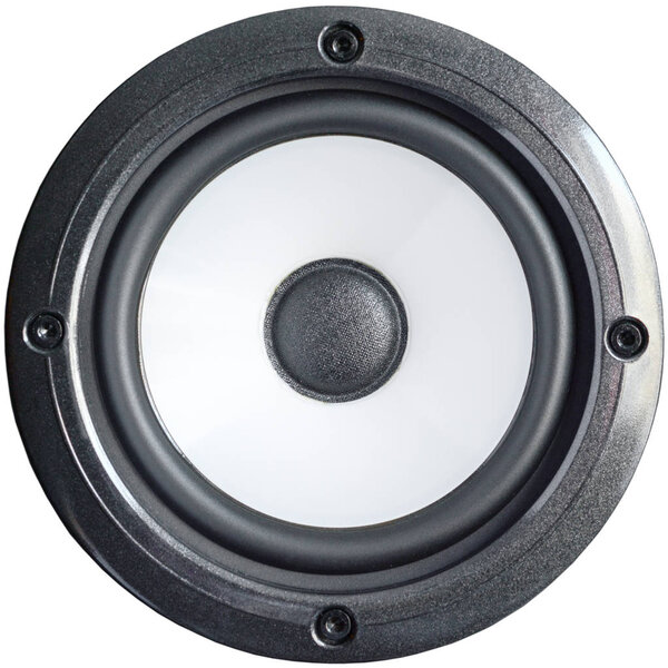 Bass professional loudspeaker with screws, close-up isolated on white background.