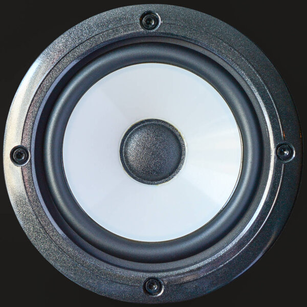 Bass professional loudspeaker with screws, close-up isolated on black background.