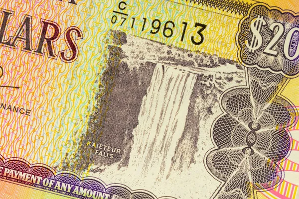 Частиною двадцяти доларів Гайана банкнота фону. Фото з високою роздільною здатністю лицьовій стороні гайдаян Білл, крупним планом макрос. — стокове фото