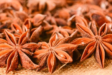 Yıldız anason. Tohumlu bazı yıldız anason meyveleri 7. Jüt çuval tuvalinde makro yakın.