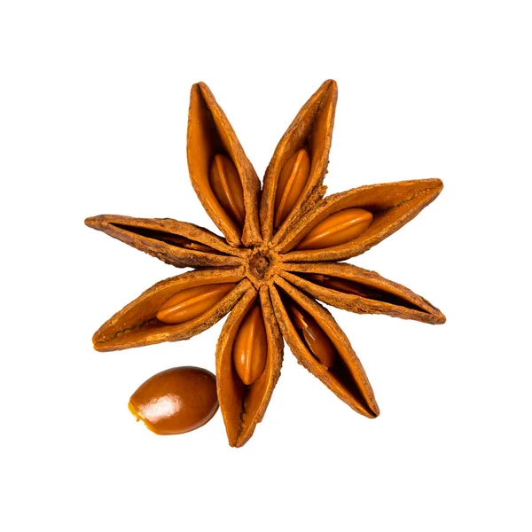 Star anise. Single star anise fruit with one seed. Macro close up Isolated on white square background with shadow, top view of a chinese badiane spice or Illicium verum. — Stock Photo, Image