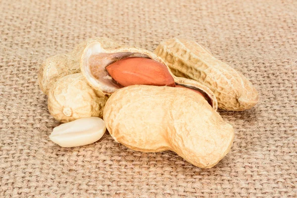 Grondnoten. Echte hele noten met kernels op jute jute achtergrond. Pinda macro close-up. Volledige scherptediepte. — Stockfoto