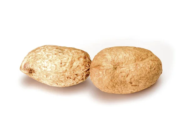 Noccioline. Due noci intere davvero piccole isolate su sfondo bianco. Macro di arachidi da vicino. Profondità di campo completa . — Foto Stock
