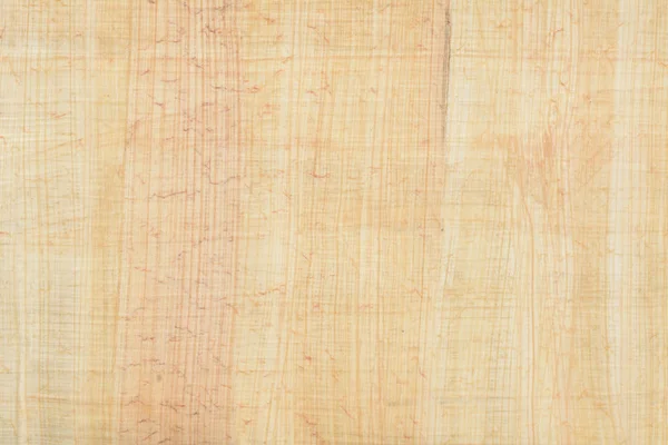 Gerçek Mısır papirüs kağıt arka plan ve doku numarası 17. Makroyu kapat.