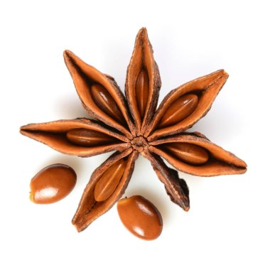 Yıldız anason. Tek yıldız tohumlu anason meyvesi. Beyaz kare arkaplanda gölgeli, Çin Badiane Baharatı 'nın üst görüntüsü veya İllisiyum verum.