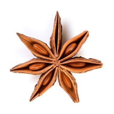 Yıldız anason. Tek yıldız anason meyvesi. Makro yakın plan beyaz kare arka planda izole edilmiş, Çin Badiane Baharatı veya Illicium verum üst görünümü.