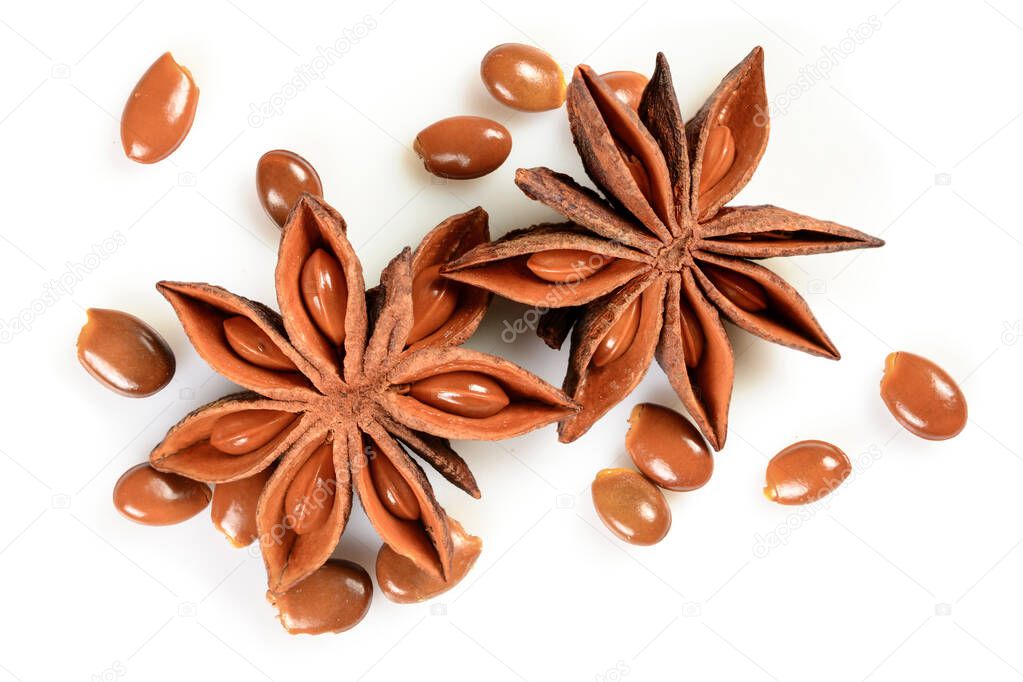 Star anise. Two star anise fruits with many seeds. Macro close-up Isolated on white square background with shadow, top view of chinese badiane spice or Illicium verum.