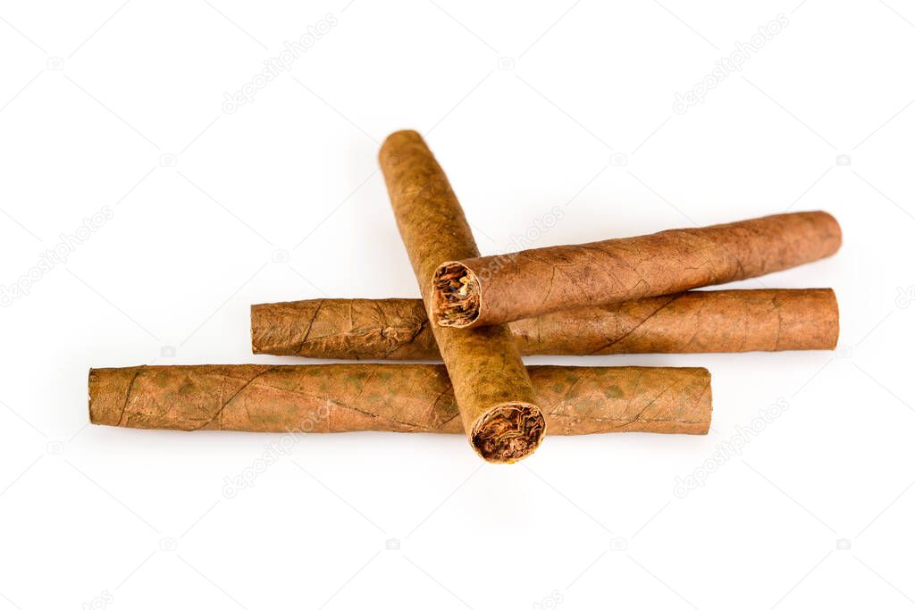 Four tobacco cigarillos isolated on white background with shadow. Close-up, high resolution.