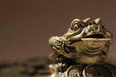 Feng shui para kurbağa dekorasyon