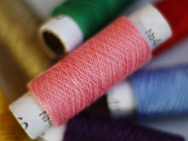 makro fotoğraf pembe sırt makarası