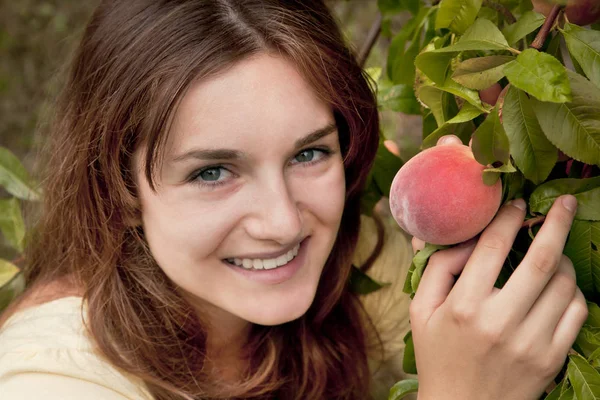 Young woman picking peach fruit