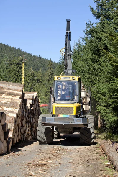 Lumber industry, timber harvesting. Wood loading crane working in forest.