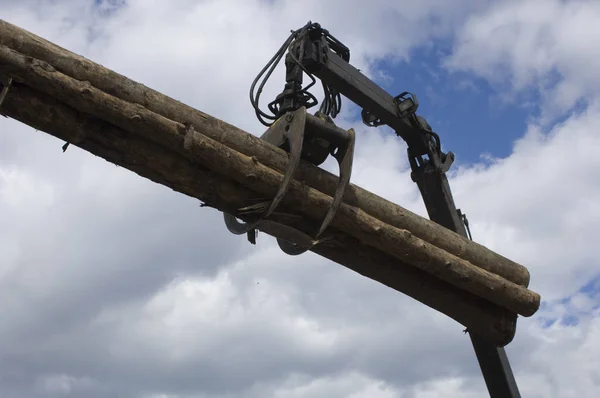 Lumber industry - Loading lumber-wood loading crane