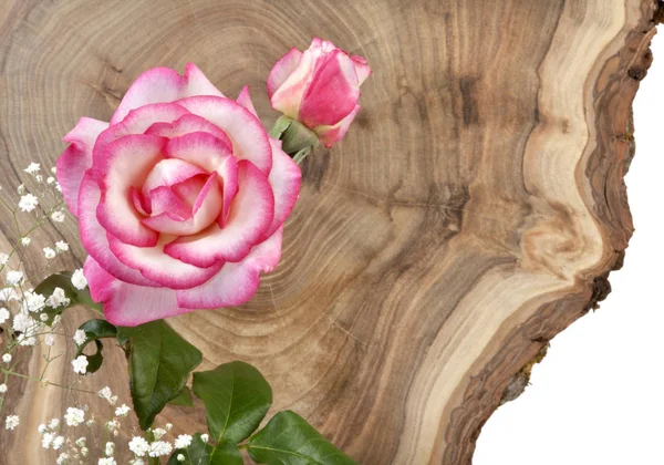 Decorative flower on fresh cut tree trunk. Decorative background for festive occasion