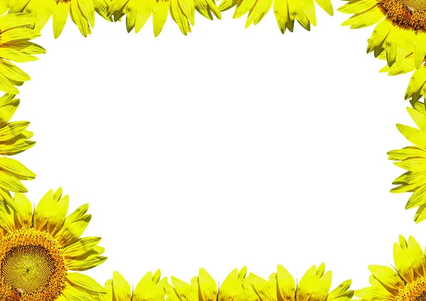 Ein Leuchtend Gelber Sonnenblumenrand Zur Verwendung Als Postkarte Oder Notizblock — Stockfoto