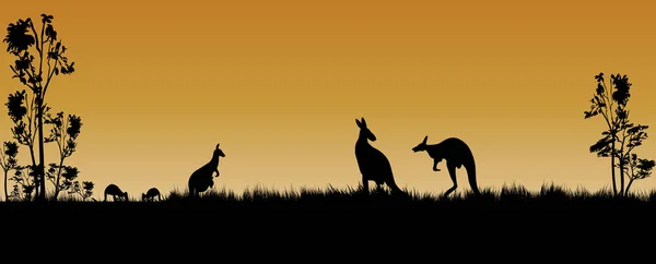袋鼠和树木作为剪影在澳大利亚日落 — 图库矢量图片