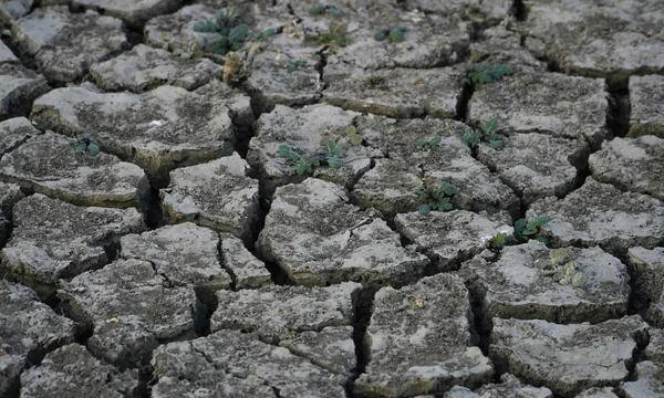 Primer Plano Del Suelo Árido Seco Agrietado Debido Falta Lluvia — Foto de Stock