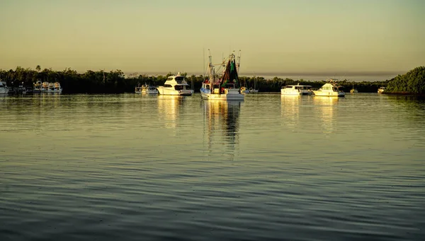 Fishing Boats Trawlers Morning Sunrise Lucinda Queensland Australia — Stock Photo, Image