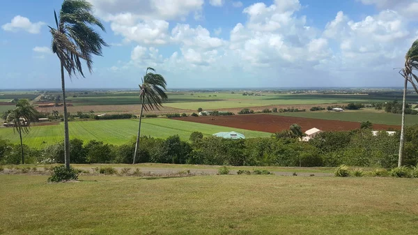 Bundaberg Australia Business Centre Major Sugar Cane Growing Area Well — Stock Photo, Image