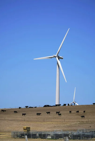 Turbinas de parques eólicos - Energias verdes limpas renováveis — Fotografia de Stock